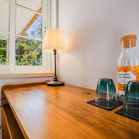 Buganvilias Do Meco 3*