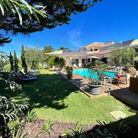 Buganvilias Do Meco 3*