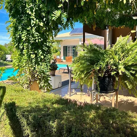 Buganvilias Do Meco 3* 塞辛布拉