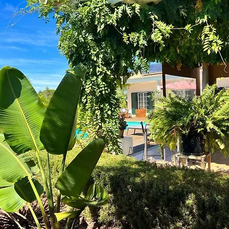 Guest house Buganvilias Do Meco