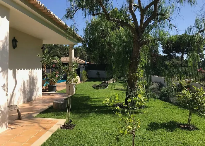 Buganvilias Do Meco Sesimbra